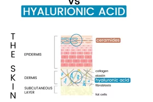 Ceramides and Hyaluronic Acid – why your skin needs both