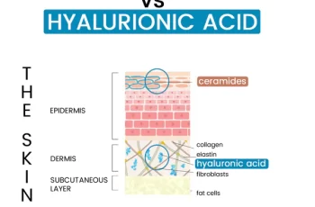 Ceramides and Hyaluronic Acid – why your skin needs both