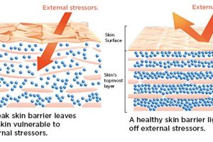 What Are Natural Moisturising Factors NMF