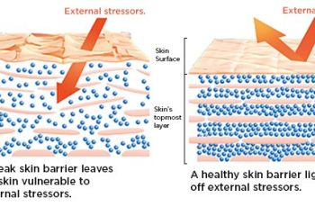 What Are Natural Moisturising Factors NMF