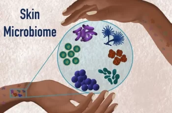 What Is Skin’s Microbiome And Why Does It Matter