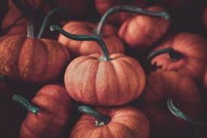 Pumpkin Benefits for Skin and Hair Care – Why are pumpkins good for skin and hair?