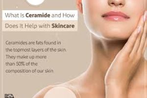 What are ceramides and how do they work in skincare?