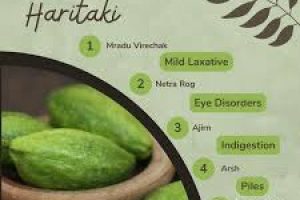 What are the benefits of Haritaki?