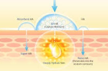 How many types of hyaluronic acid are there?