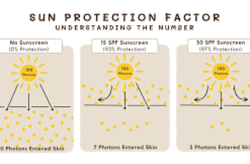 How does Sun Protection Factor (SPF) work?