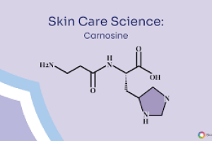 The Science of Carnosine in Skin Care Products