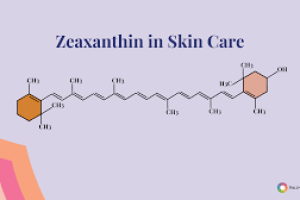 The Science of Zeaxanthin in Skin Care