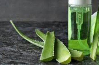 Uses and Benefits of Aloe