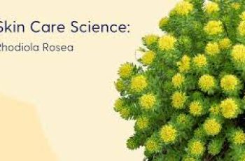 The Science of Rhodiola Rosea in Skin Care