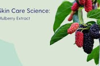 The Science of Mulberry Extract in Skin Care