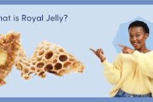 The Science of Royal Jelly in Skin Care