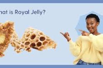 The Science of Royal Jelly in Skin Care