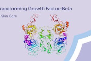 Transforming Growth factor beta (TGF-beta) in Skin Serums