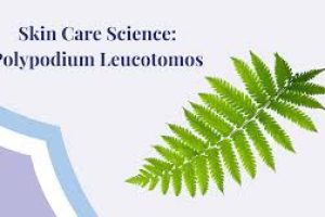 Skin Care Science: Polypodium Leucotomos Extract