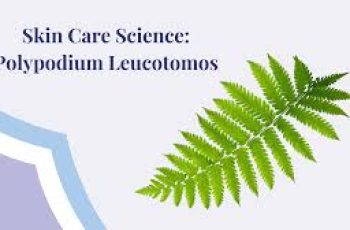 Skin Care Science: Polypodium Leucotomos Extract