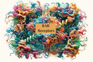 Retinoic Acid Receptors and Importance in Skincare