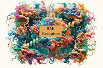 Retinoic Acid Receptors and Importance in Skincare