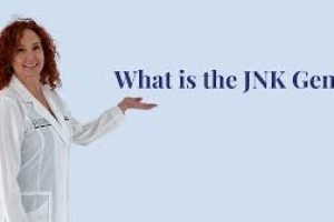 The JNK Gene and Skin Health