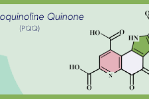 Pyrroloquinoline quinone (PQQ) In Skin Care