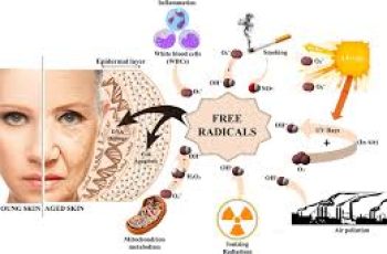 Free Radicals