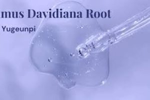 Ulmus Davidiana Root Extract in Skin Care Products