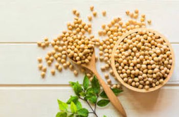 How Soybean Oil works in Skin Care Products