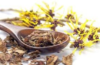 Witch Hazel Extract