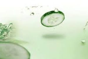 Cucumber Extract in Skin Care