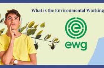 What is the Environmental Working Group (EWG)?