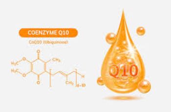 CoQ10 (Coenzyme Q10) in Skin Care