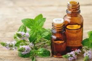 Peppermint Oil in Skin Care