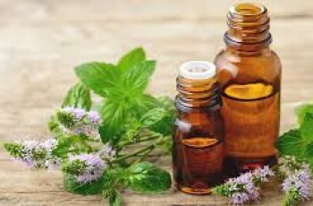 Peppermint Oil in Skin Care