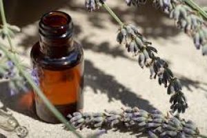 Lavender oil in skin care