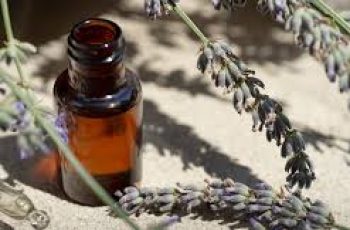 Lavender oil in skin care