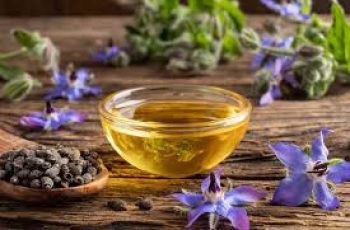 Borage Seed Oil in Skin Care