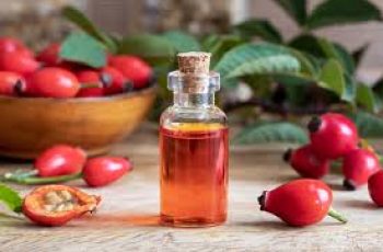 Rosehip Oil in Skin Care