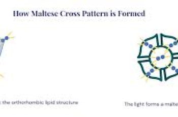 Maltese Cross Pattern in Moisturizers