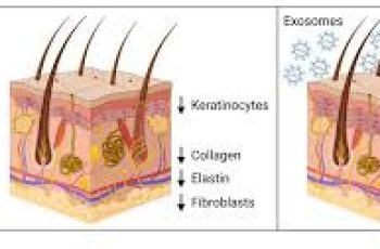 Extracellular Vesicles in Skin Care