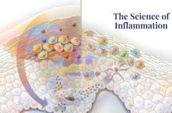 The Science of Skin Inflammation