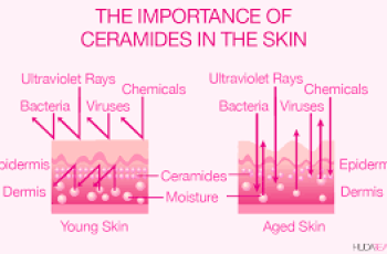 Ceramides in Skin Care