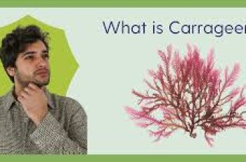 Carrageenan in Skin Care: What It Is & How It Works