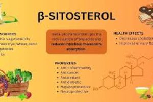 Beta-Sitosterol in Skin Care: Benefits, Uses, and More