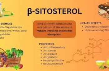Beta-Sitosterol in Skin Care: Benefits, Uses, and More Beta-Sitosterol in Skin Care: Benefits, Uses, and More