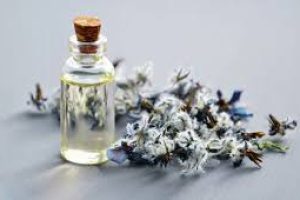 Borage Seed Oil in Skin Care: A Powerful Natural Ingredient