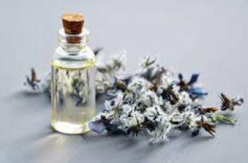 Borage Seed Oil in Skin Care: A Powerful Natural Ingredient