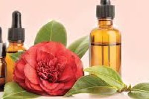 Camellia Japonica Seed Oil: The Ultimate Antioxidant for Anti-Aging, Pollution Protection, and Skin Health