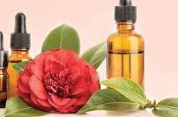 Camellia Japonica Seed Oil: The Ultimate Antioxidant for Anti-Aging, Pollution Protection, and Skin Health