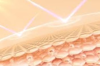 The 8 Layers of Human Skin and How Skincare Products Interact with Them