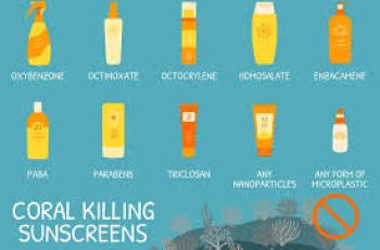 Octinoxate in Sunscreen: Safety, Benefits, and Environmental Impact Octinoxate in Sunscreen: Safety, Benefits, and Environmental Impact